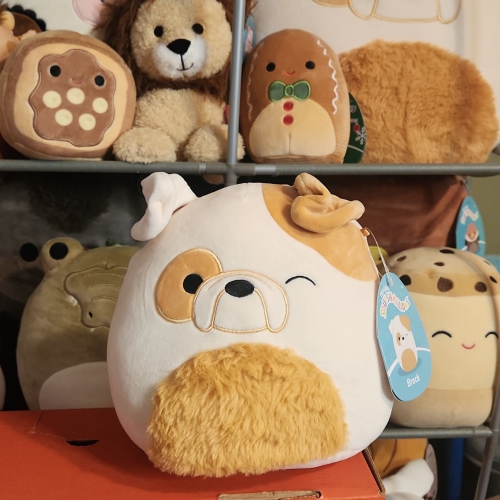 Squishmallows Brock the Bulldog 7"